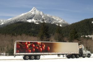 Refrigerated transport Zorka